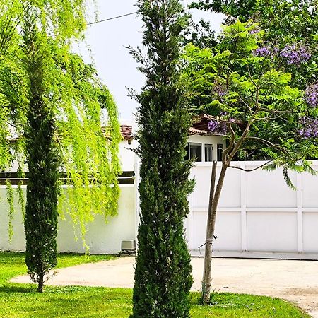 斯尼斯Seaside Jacaranda公寓 外观 照片