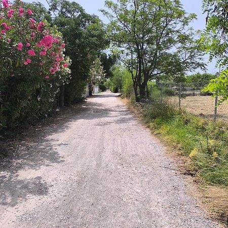 斯尼斯Seaside Jacaranda公寓 外观 照片