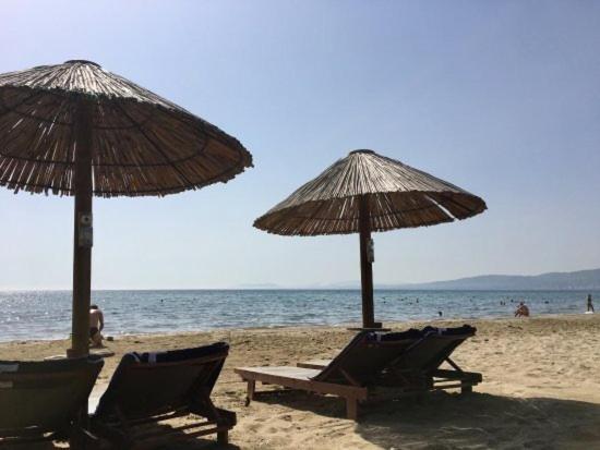 斯尼斯Seaside Jacaranda公寓 外观 照片