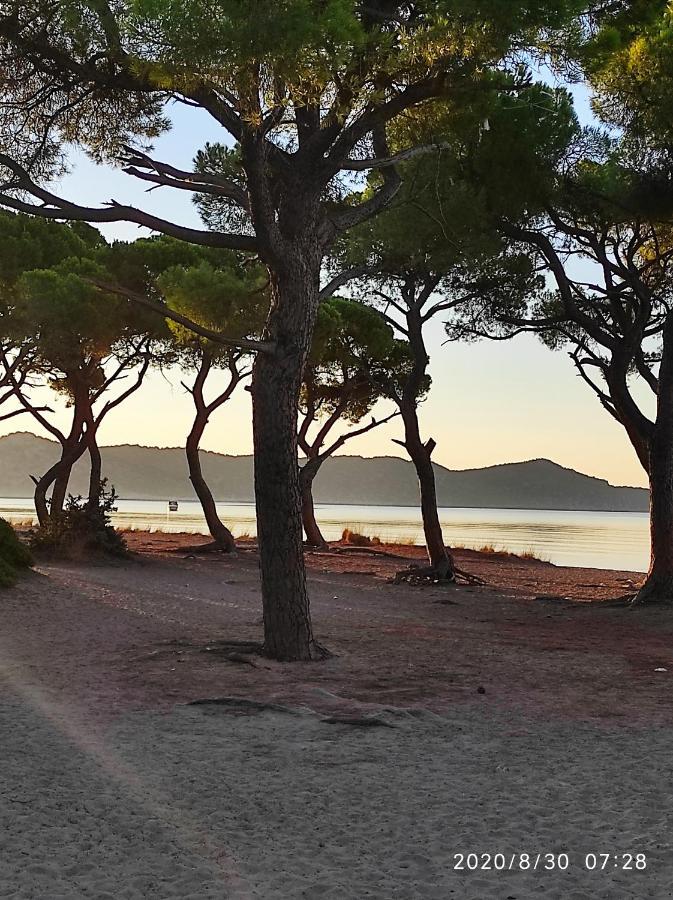斯尼斯Seaside Jacaranda公寓 外观 照片