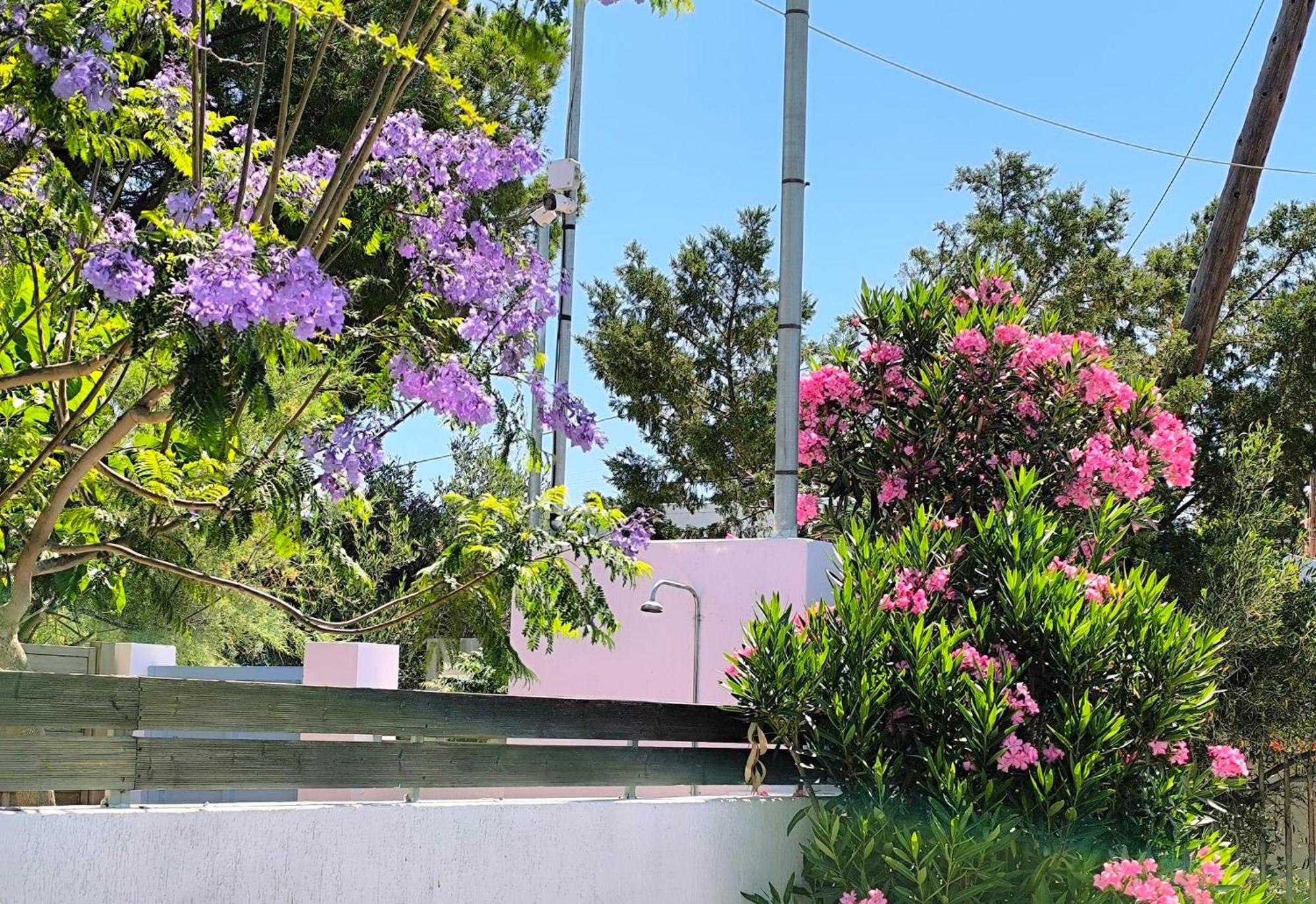 斯尼斯Seaside Jacaranda公寓 外观 照片